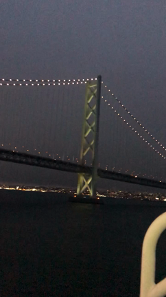 ミステリーツアー始まるの記事動画