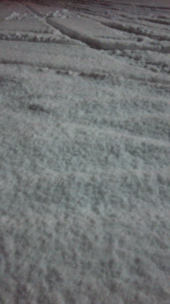 q(*･ω･*)p頑張ったよ。びゅおおおおの記事動画