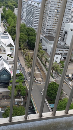 ☆とうとう鳴き出した〜❗❗☆の記事動画