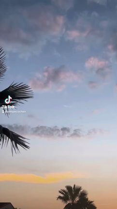 なっちゃうじゃん^ ^の記事動画