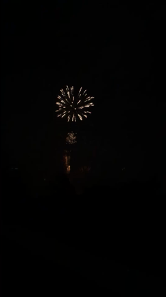 夏の終わりの花火大会。の記事動画