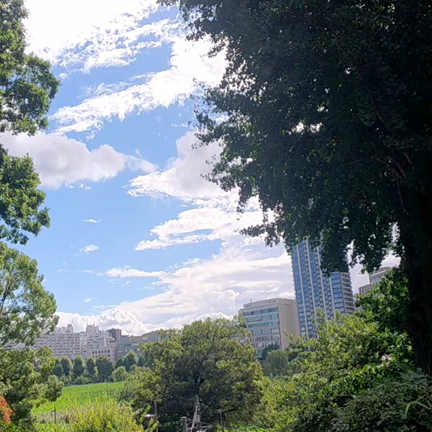 パン屋への記事動画
