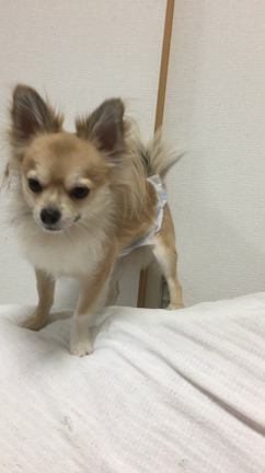 離婚‥の記事動画