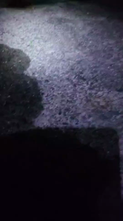 令和狸合戦ぽんぽこ①の記事動画