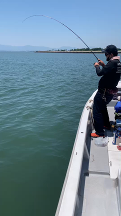 初めてのターゲットの記事動画