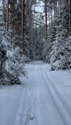 大晦日の記事動画
