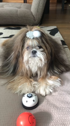 超天才の記事動画