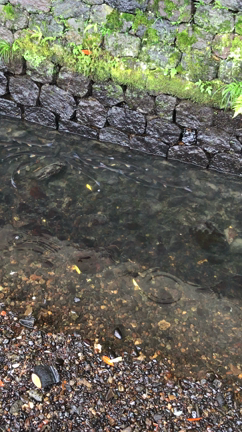 金沢1人旅の記事動画