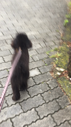 雨のち曇りの記事動画