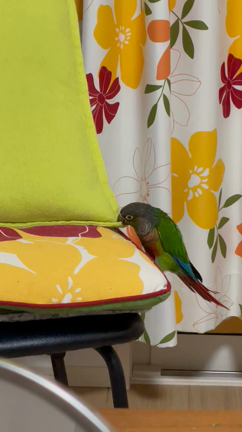 なるようになるさ大抵の記事動画