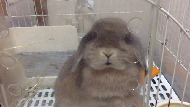 スローカメラのテストの記事動画