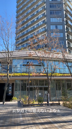 元旦の過ごし方　と　初詣は○○だから行かないの記事動画