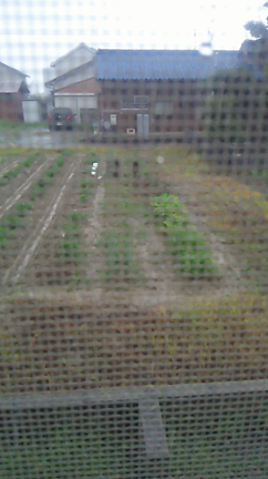 ゲリラ豪雨？の記事動画