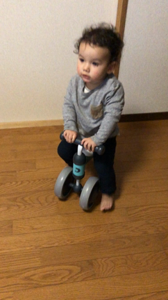 三輪車が上手になりました！の記事動画