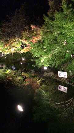 ちょうどいい広さだね〜！の記事動画