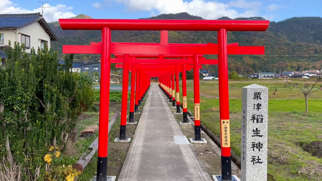 驚きいっぱいの神社参拝。(リーディングメッセージ)の記事動画
