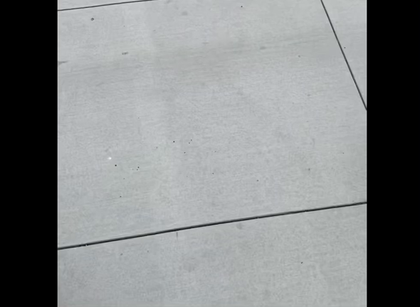 中半　問題保護犬にグリーティング法則を使うと仲良くなれるのか？の記事動画