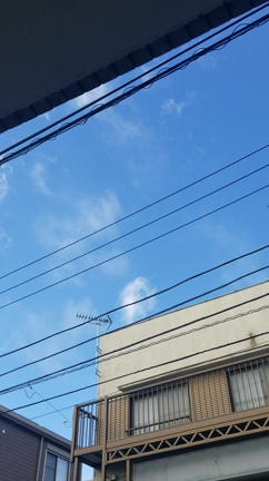 この年にして、初めて見た！の記事動画