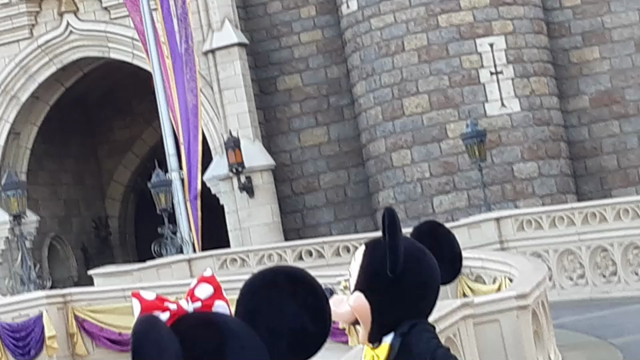 3世代ディズニー旅行記②の記事動画