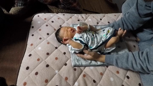 ベイビーの記事動画