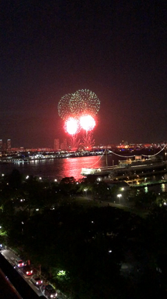 Fireworks♡夜空に大輪の花が咲きました ♡の記事動画