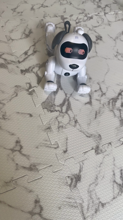 休校な本日〜♩の記事動画