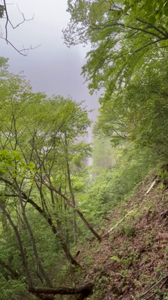 滝巡りの記事動画