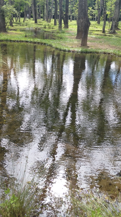 自然へのリスペクトを感じる癒しスポット「那須アートビオトープ水庭」の記事動画