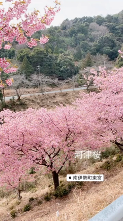 確認事項の記事動画