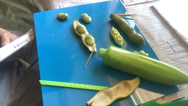 マスコットマグネット★オンラインの記事動画