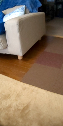 麦たまとのお散歩の記事動画