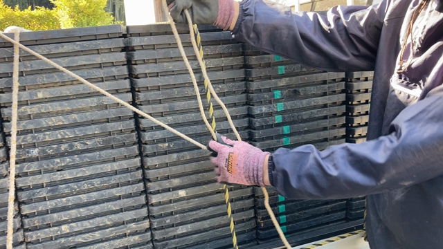 ＜こめ部2021＞種まき #03の記事動画