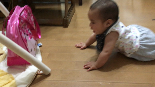 赤子の成長はあっという間！の記事動画