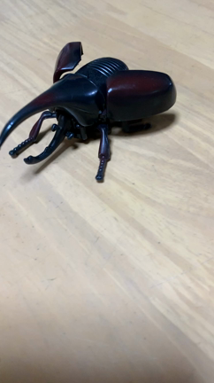 どーしても見ていただきたい‼️の記事動画