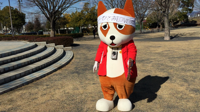 キングオブコーギーらった！の記事動画