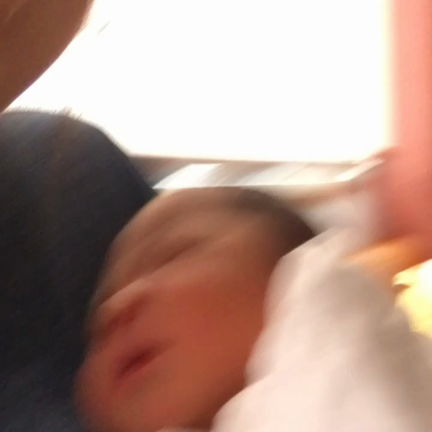 誰に似てる？の記事動画