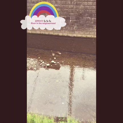 ENJOY THE LITTLE THINGSの記事動画