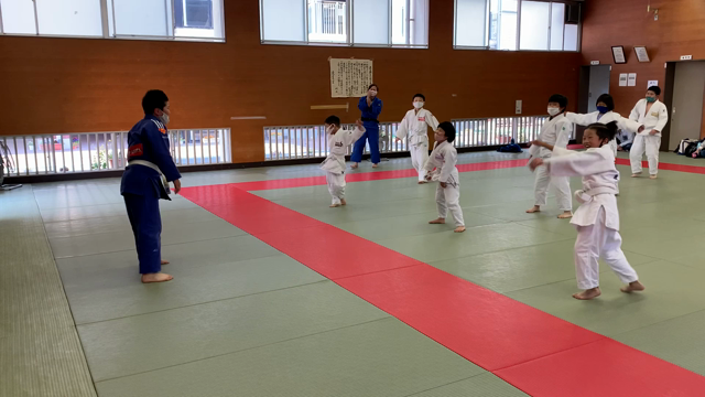 トレーニングの記事動画