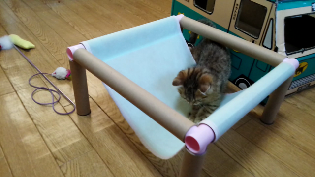 はじめましての記事動画