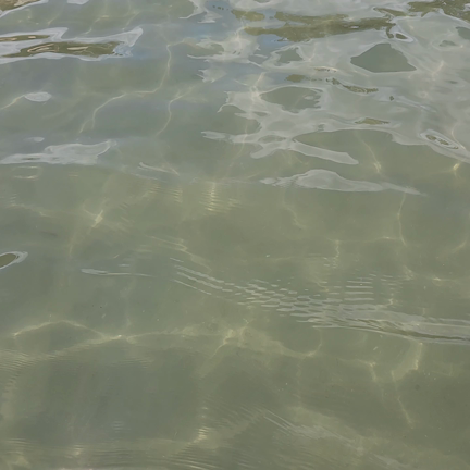 今年の海も日本海の記事動画