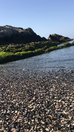 "ロマンチスト！？"。の記事動画