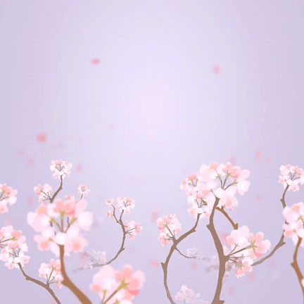 宇宙桜グランプリ×もみの木ハウスさんでの展示( ☆∀☆)の記事動画