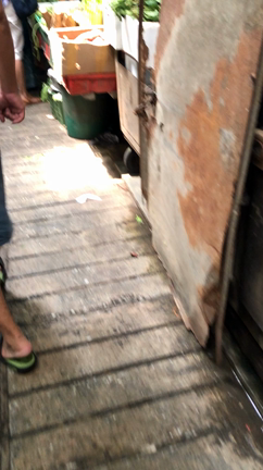 マレーシア クアラルンプールの旅2日目③ 中華街からウェットマーケットとセントラルマーケットにの記事動画