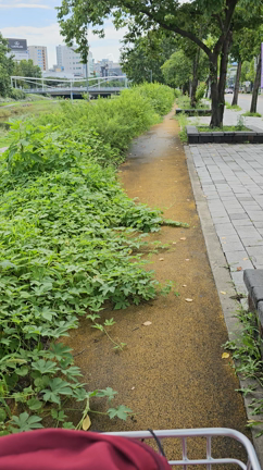 パスポート取りました、名古屋ツアー行く準備Okの記事動画