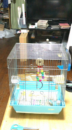 実績35年の占い師。あなたの不安や悩みを解消できる鎗田宗准さんの