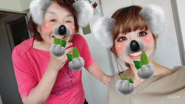 おばあちゃんとおじいちゃんに会いに神奈川への記事動画