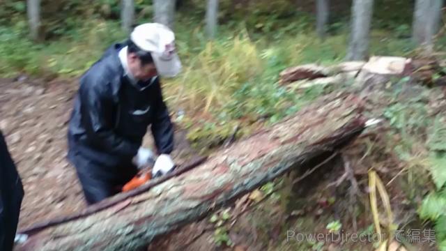 山で生きる(自然の中のDIY)の記事動画