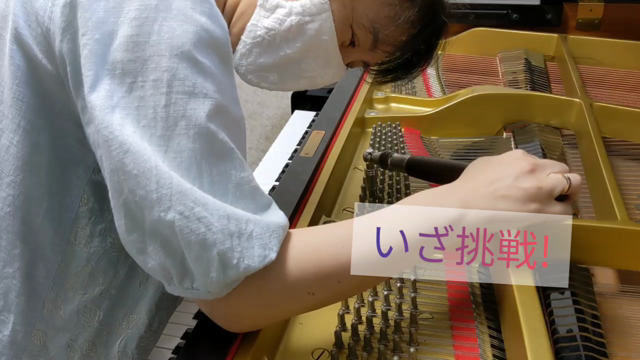 調律体験に行ってきました!の記事動画