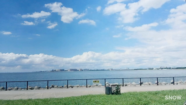 今日は晴れ。の記事動画