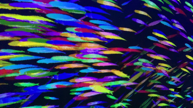 OCEAN BY NAKEDの記事動画